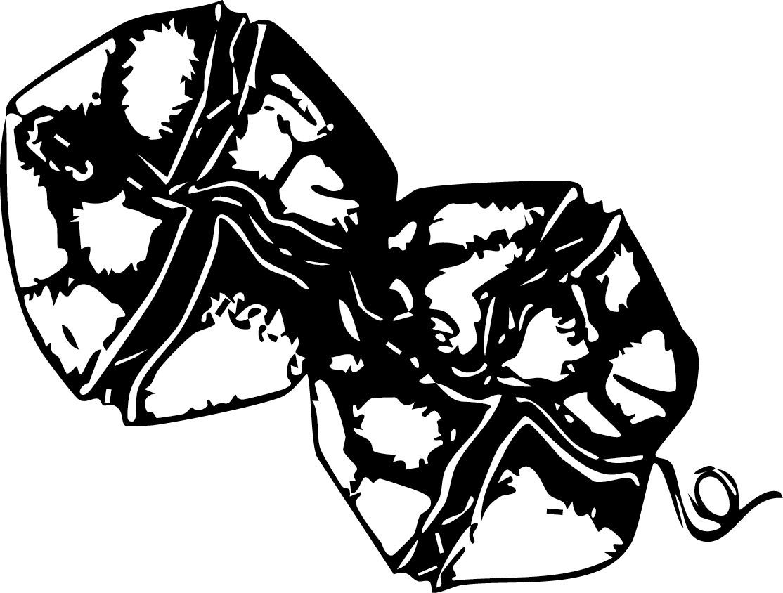 Alexandrium catenella illustration